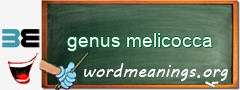 WordMeaning blackboard for genus melicocca